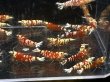 画像2: 9028 C【スプリットタイムセール】ナイトバーゲン!レッドファンシータイガー超特価!プラケース内丸ごとセット  (2)