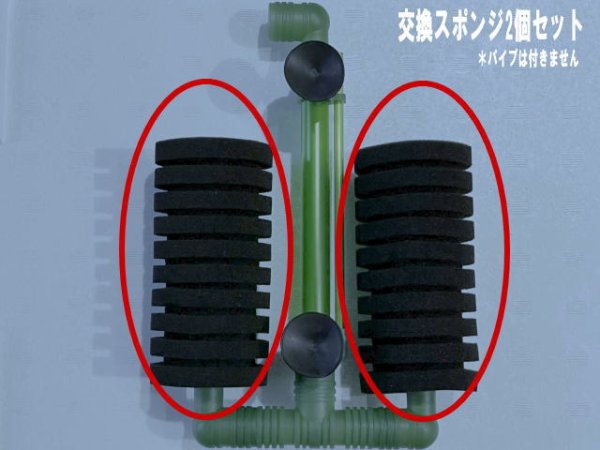 画像1: 交換スポンジ2個セット (1)